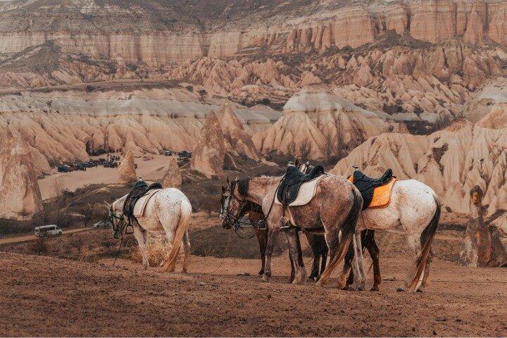 Cappadocia Horseback Riding: Sunset Valley Tour