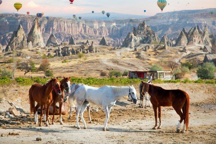 Cappadocia Horseback Riding: Sunset Valley Tour