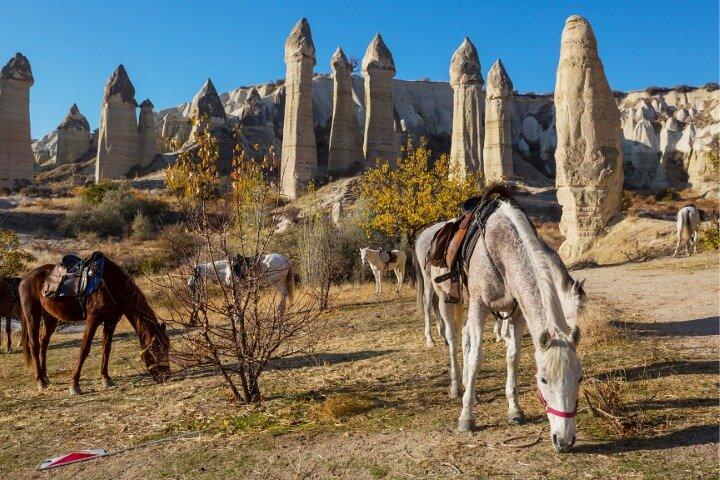 Cappadocia Horseback Riding: Sunset Valley Tour