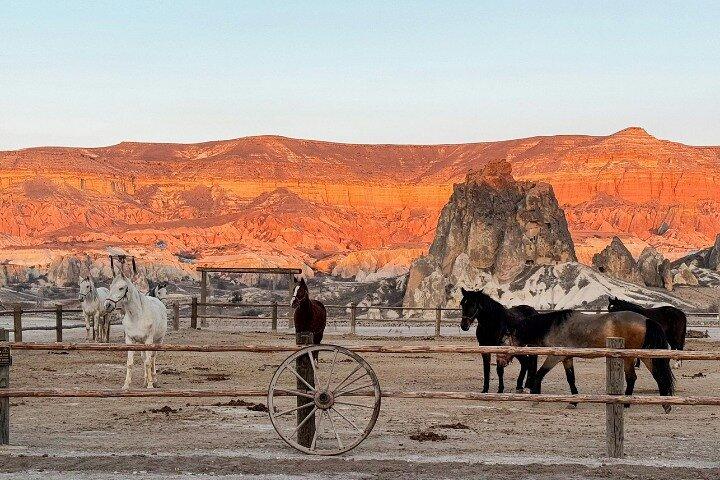 Cappadocia Horseback Riding: Sunset Valley Tour