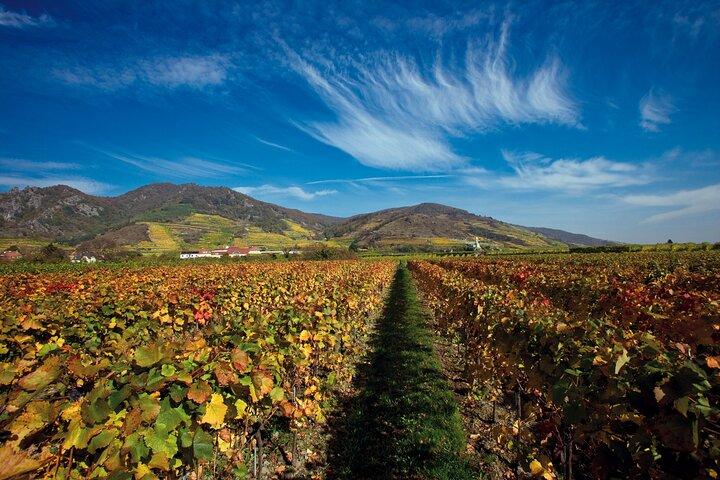 Cesky Krumlov and Wachau Danube Valley Tour from Vienna