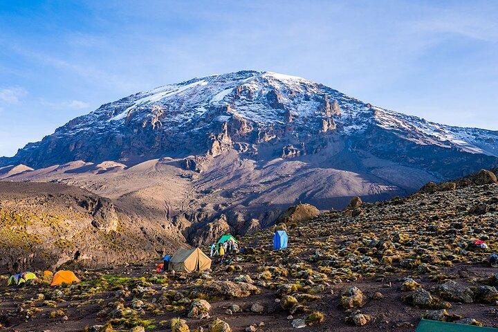 7 Days Adventure at Kilimanjaro Climb Machame Route