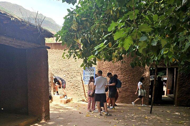 Private: Marrakech, Atlas Mountains & Ourika Valley