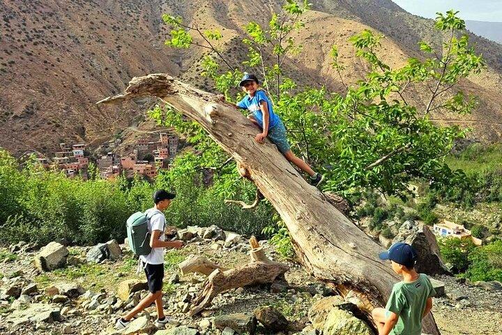 Private: Marrakech, Atlas Mountains & Ourika Valley