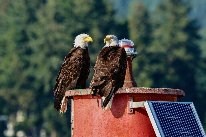 Vancouver City and Nature Waterfront Sightseeing Boat Tour