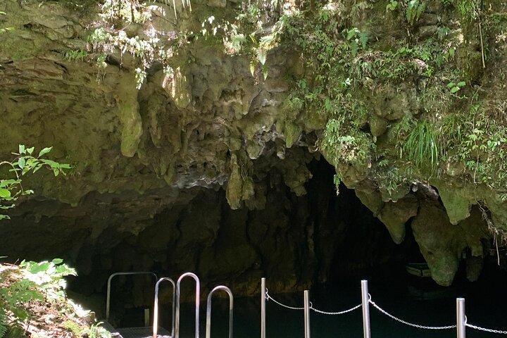Private Waitomo Caves Tour - Auckland Tour House