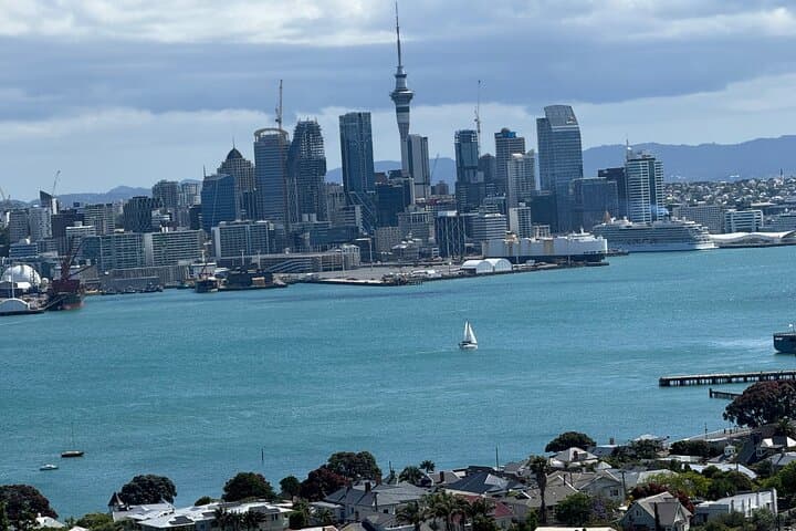Private Auckland City Tour Including Mount Victoria