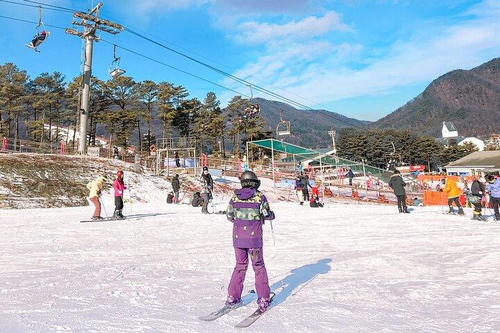 Jisan Ski One Day Tour