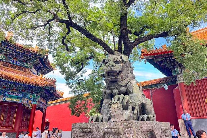 Beijing Half Day Tour : Temple of Heaven with Lama Temple