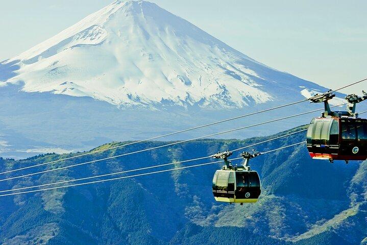 Mt. Fuji Hakone and Kamakura Day Tour: Cruise/Ropeway/island