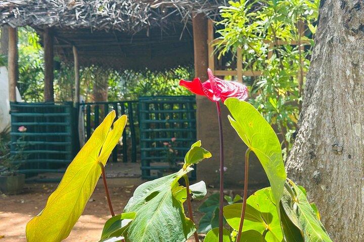 Akka Nago Cooking Class & Resturant