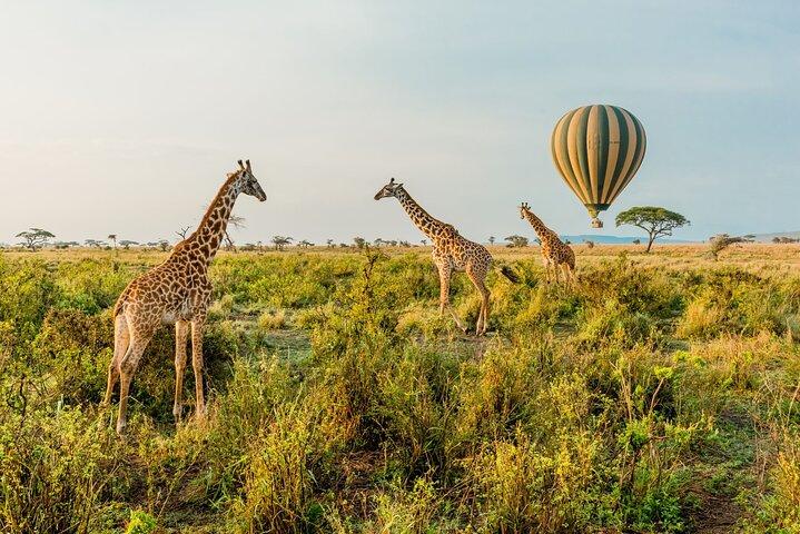 8 Day Serengeti Adventure