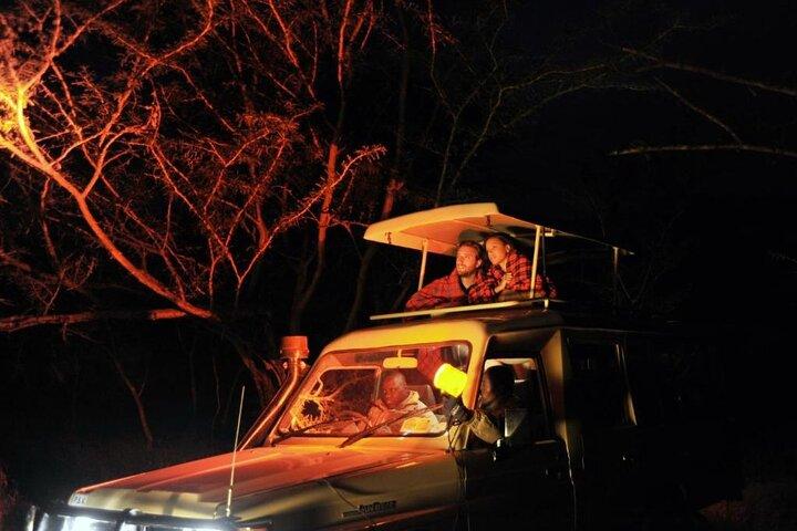 Nairobi National Park Sunset and Night Game Drive Tour