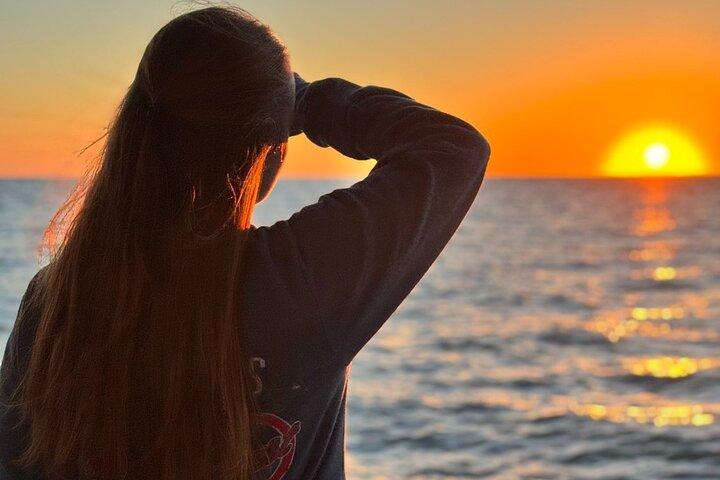 Dolphin Sunset Cruise with Drinks Included
