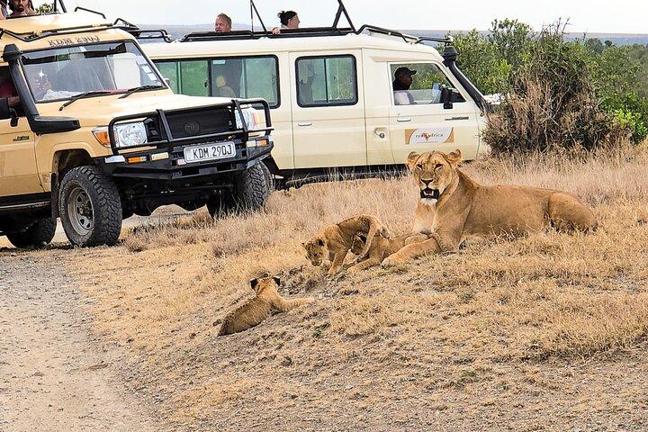 3 Night Adventure at the Foothills of Mt Kenya (Ol Pejeta)