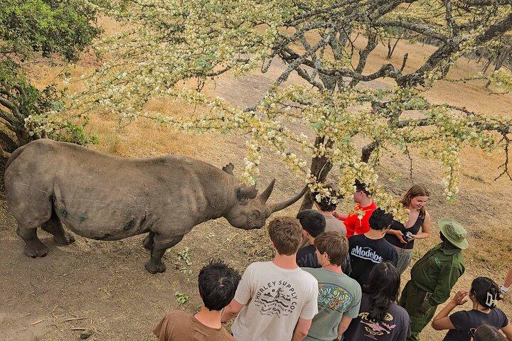 3 Night Adventure at the Foothills of Mt Kenya (Ol Pejeta)
