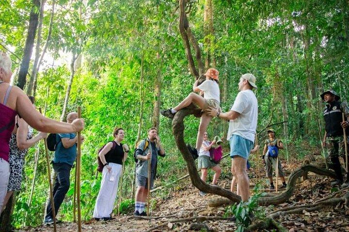 Explore Khao Sok: Jungle Safari in Thailand’s Pristine Rainforest