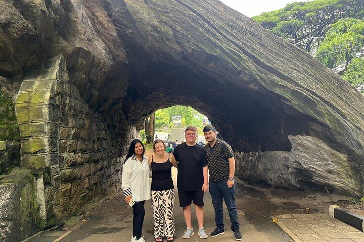 Private Kandy Day Tour From Negombo