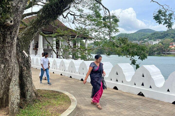 Private Kandy Day Tour From Negombo