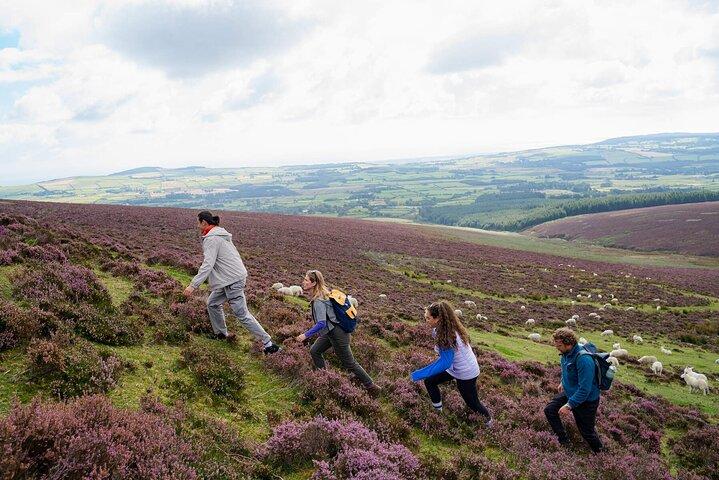 Dublin Small Group Wild Wicklow Mountains & Glendalough