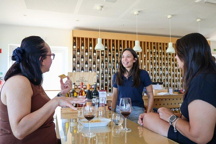 From Lisbon: Évora, Chapel of Bones & Alentejo Wine - Small Group