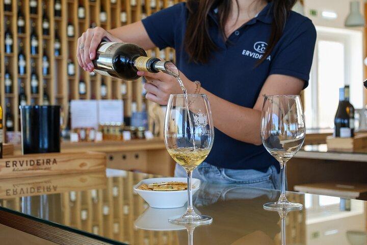 From Lisbon: Évora, Chapel of Bones & Alentejo Wine - Small Group
