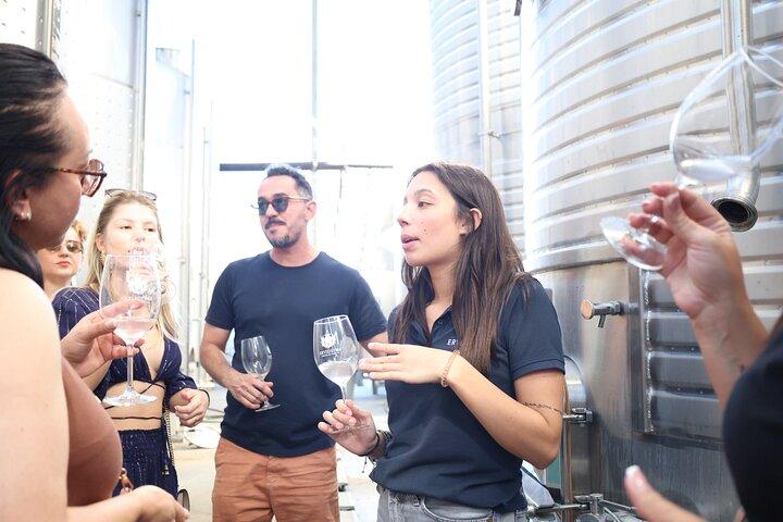 From Lisbon: Évora, Chapel of Bones & Alentejo Wine - Small Group