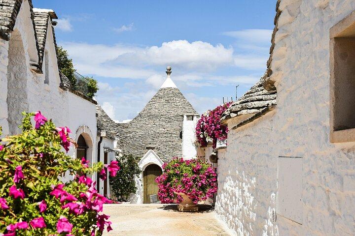 Ostuni and Alberobello Private Tour from Brindisi Port