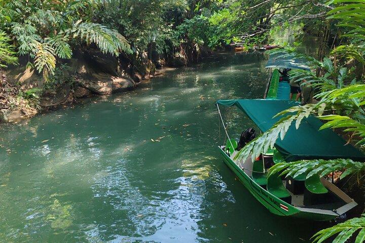 Monkey Mangrove Boat Tour in Manuel Antonio Costa Rica