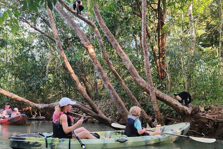 Monkey Mangrove Boat Tour in Manuel Antonio Costa Rica
