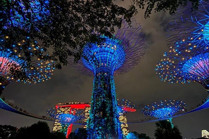 2 Pax Bundle Singapore River Cruise and Stunning Light Shows