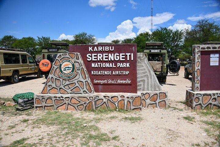 4 Day Serengeti and Ngorongoro Private Camping Safari
