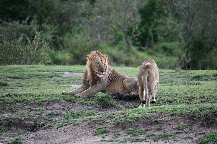 4 Day Serengeti and Ngorongoro Private Camping Safari