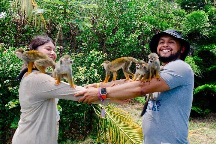 3x1: Monkeyland Waterfalls and Buggy Tour Puerto Plata