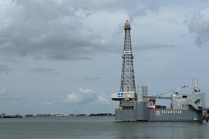 Galveston Historical Harbor Cruise with Dolphins