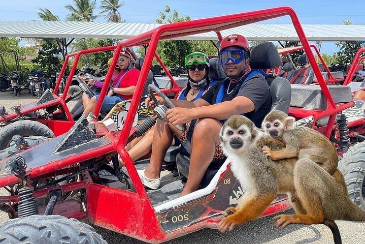 Combo Buggy & Monkeys & Plantation Tour Puerto Plata Adventure