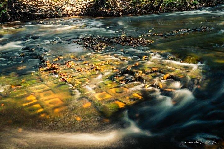 Phnom Kulen Waterfall & the Sacred 1000 Lingas (Guide)