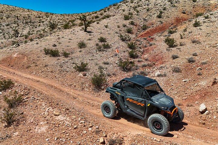 Las Vegas Desert RZR Adventure Tour at the Pioneer Saloon
