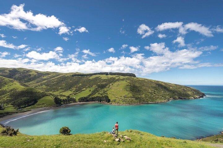 Akaroa Private Day Tour from Christchurch