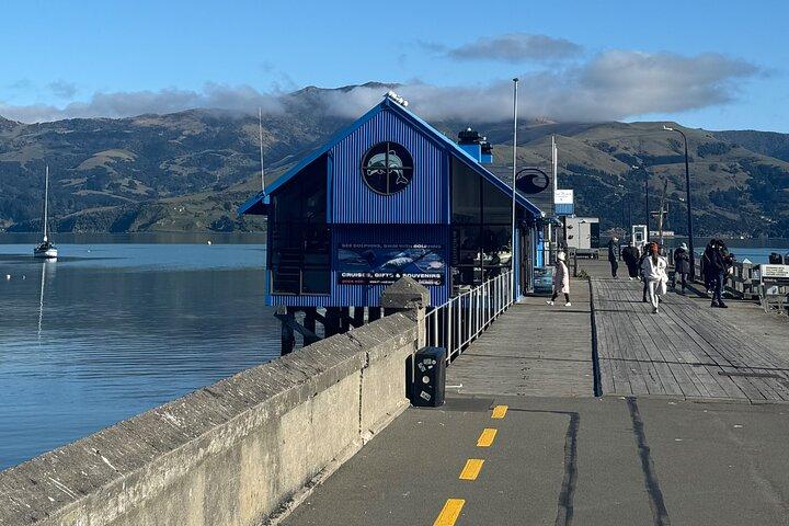 Akaroa Private Day Tour from Christchurch