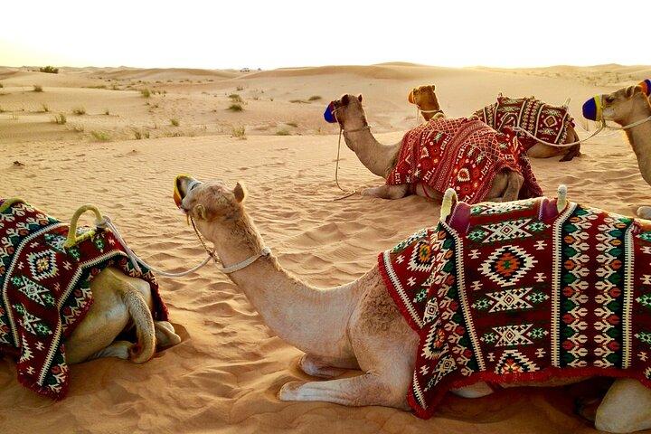 Doha Desert Safari: Sunset,Sunrise,Camel,Sand boarding,Inland Sea
