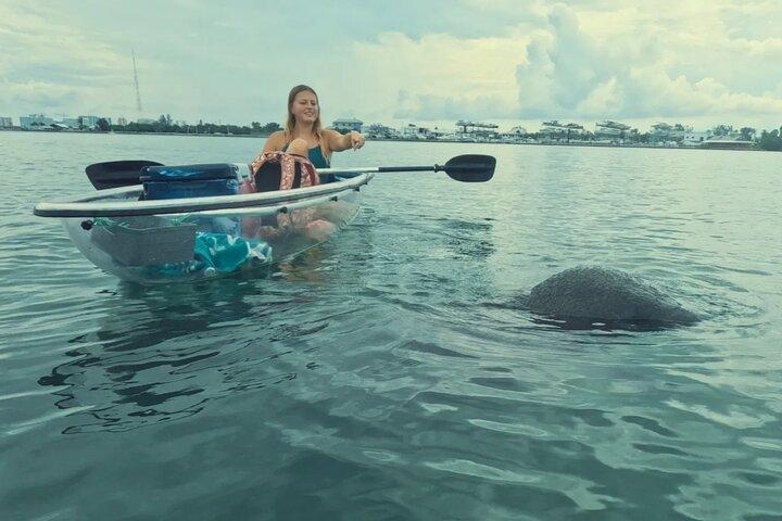 2 Hour Clear Kayak Mangrove Tunnel Eco Tour in Sarasota