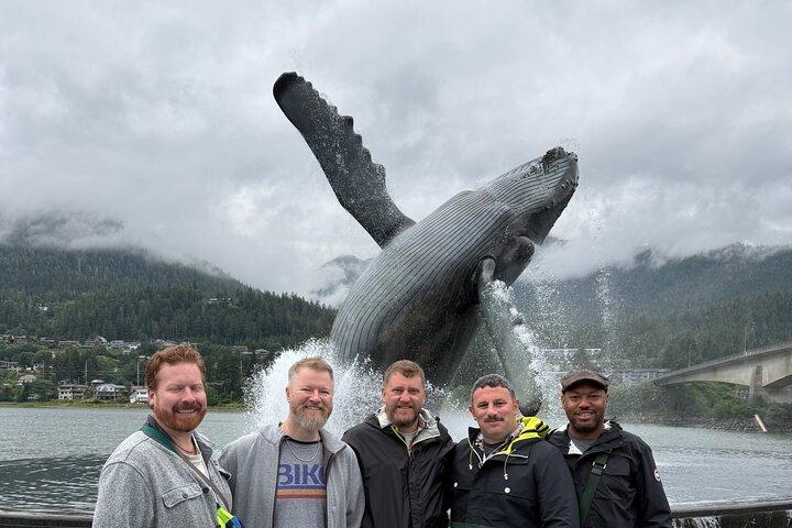 Juneau Private Sightseeing and Hatchery with a Local (Luxury SUV)