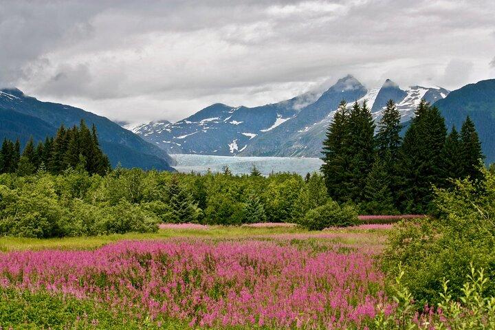 Juneau Private Bike Tour w Glacier Views (and Extra Sightseeing)