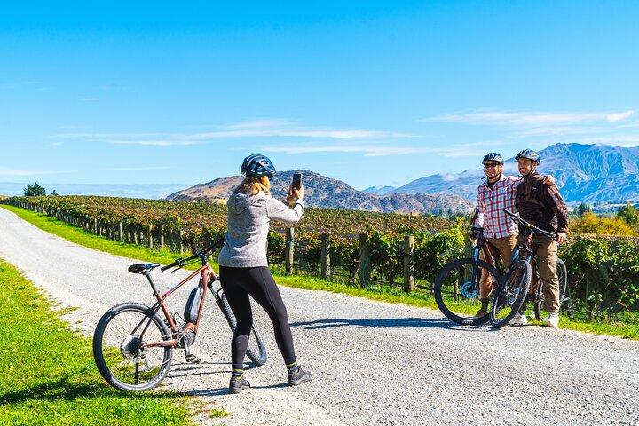 Bike The Wineries (1/2 Day) - Quick Pedal to Pinot
