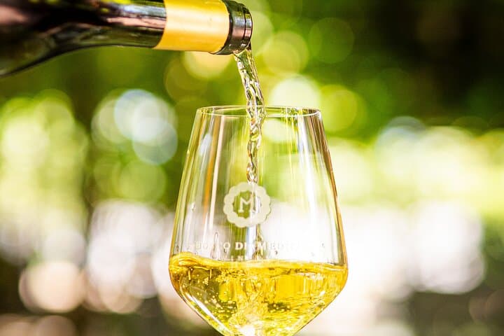 From Vineyard to Table: Wine Tasting & Neapolitan Lunch in Pompei