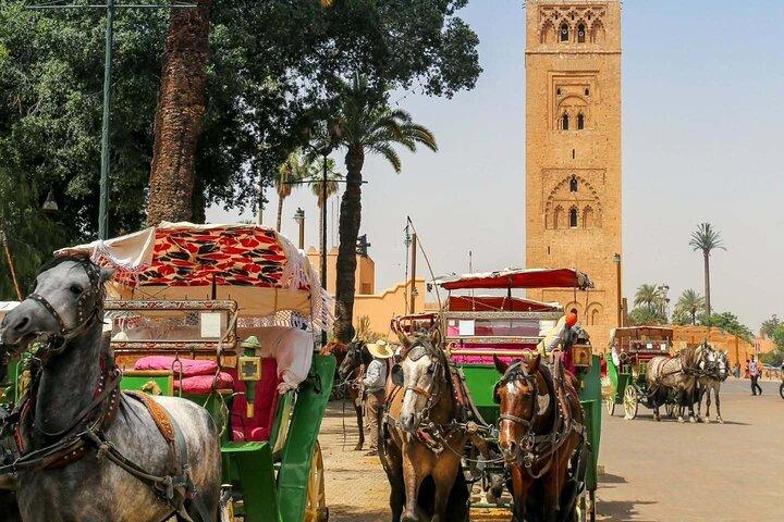 Majestic Marrakech: Jardin Anima, Ménara & Charming Calèche
