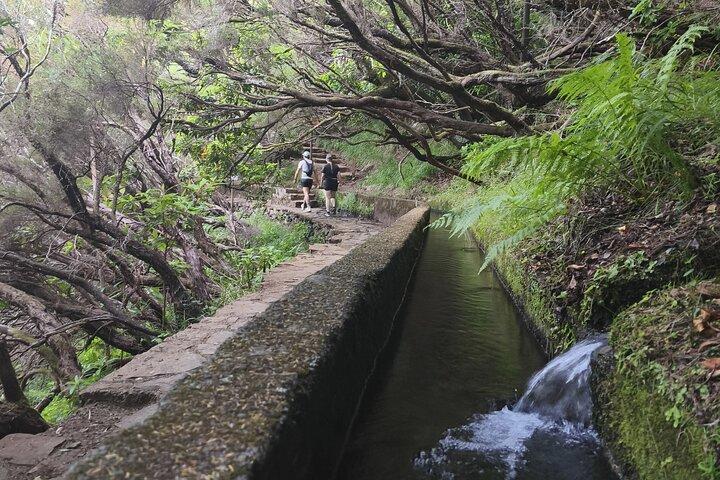 Rabaçal Scenic Hike 25 Fontes and Risco Self Guided Experience