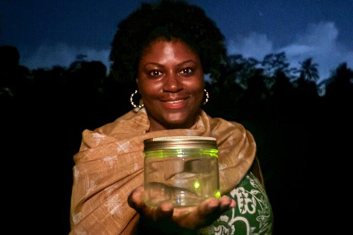 Cultural Immersion in Taro Village with Firefly Watching
