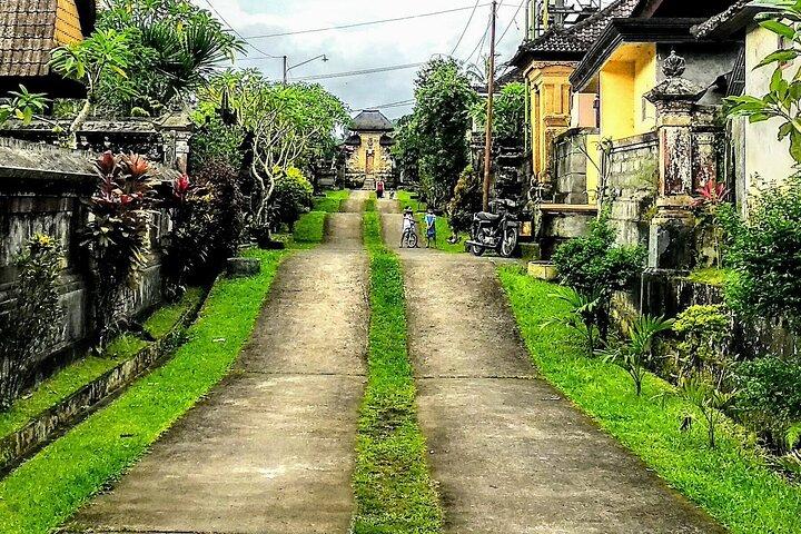 Cultural Immersion in Taro Village with Firefly Watching